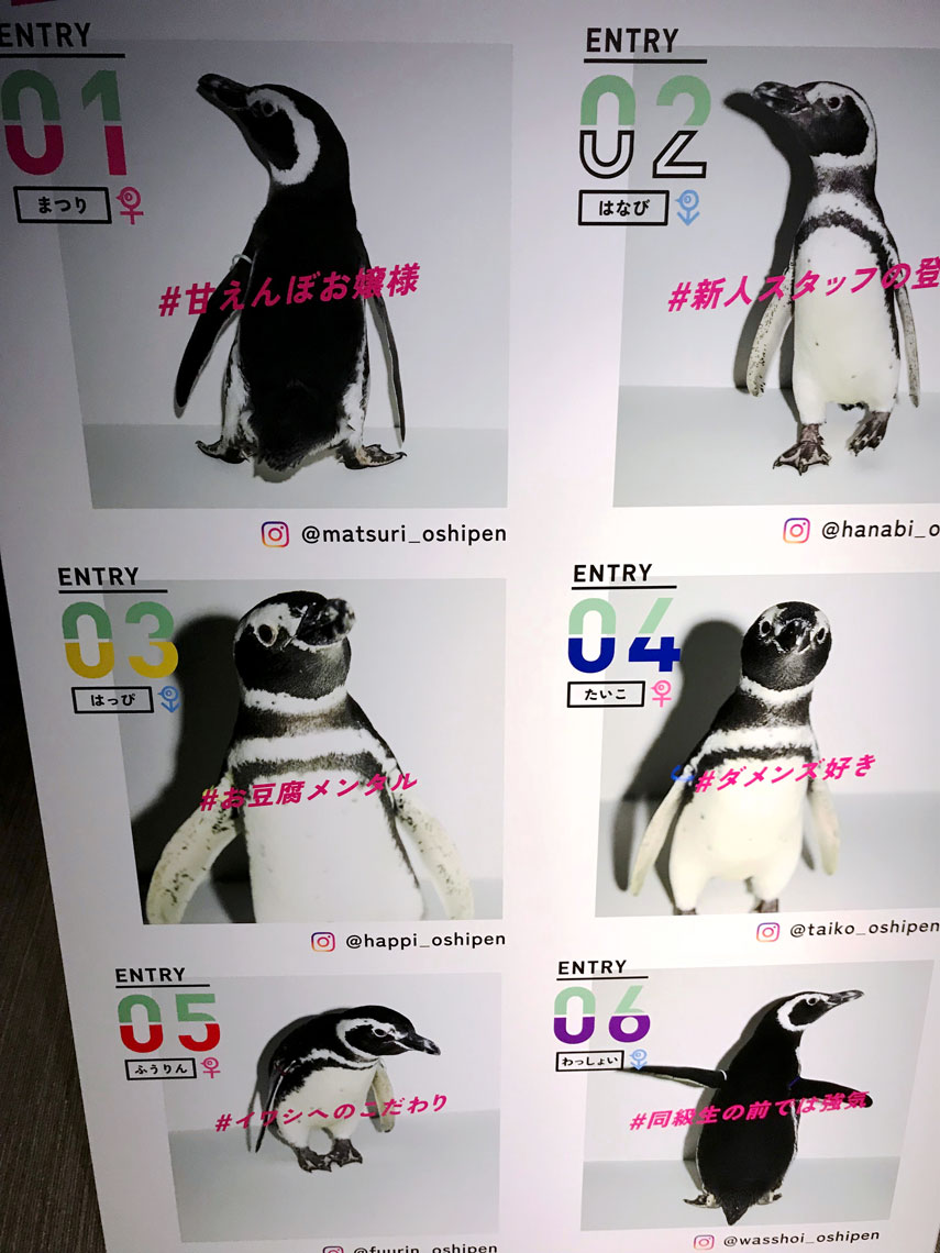 2018101909